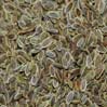 Dill Seeds