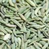 Anise Seeds- 1lb