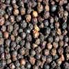 Black Peppercorns Malabar, 1 Lb