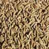 Cumin Seeds, 1 Lb