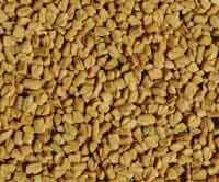 Fenugreek Seeds, 1 lb