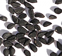 Black Cumin Seed, 1 lb 