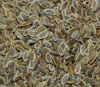 Dill Seed 5 lb
