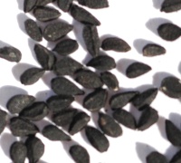 black-seed black seed